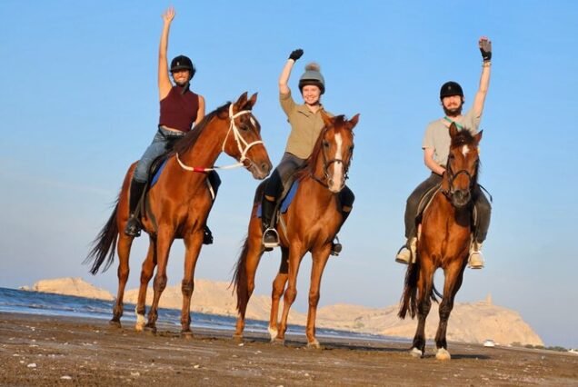 Horse Riding